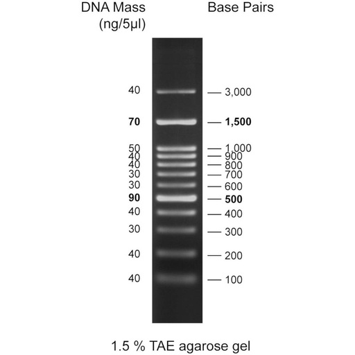 [Eletro3ks224] 100bp DNA Ladder, 100-3000bp, 500uL