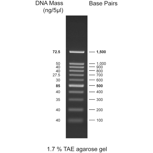 [Eletro3ks225] 100bp DNA Ladder, 100-1500bp, 500uL