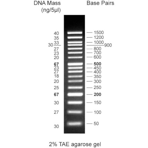 [Eletro3ks226] 50bp DNA Ladder, 50bp-1500bp, 500uL