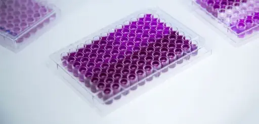 [T3296] Fast Human Phospho Tau Thr231 (p-T231) ELISA